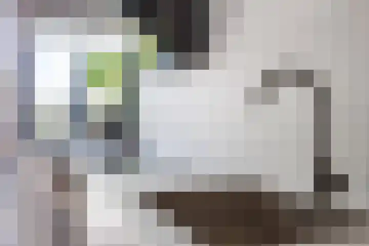 Julianalaan 18 Midlum thumbnail 23