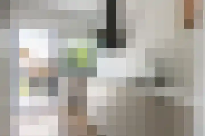 Julianalaan 18 Midlum thumbnail 24