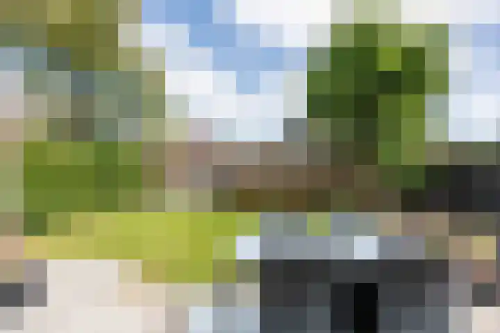 Julianalaan 18 Midlum thumbnail 32