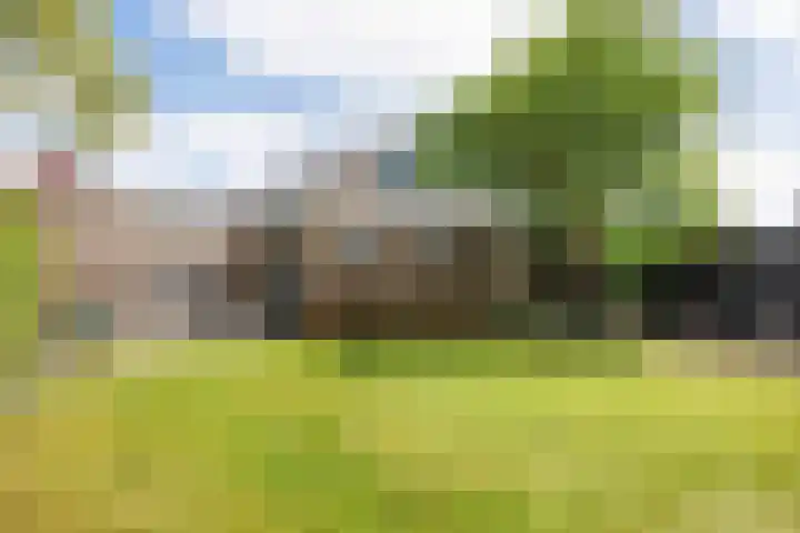 Julianalaan 18 Midlum thumbnail 35