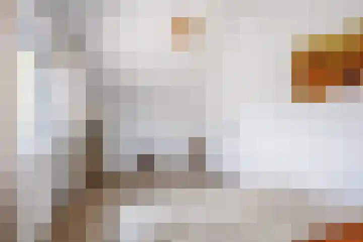 Julianalaan 18 Midlum thumbnail 40