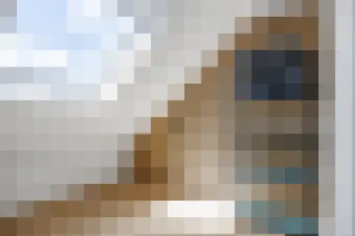 Julianalaan 18 Midlum thumbnail 46