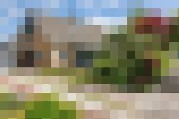 Julianalaan 18 Midlum thumbnail 48