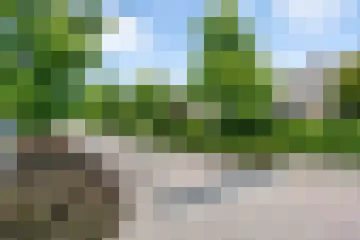 Julianalaan 18 Midlum thumbnail 49