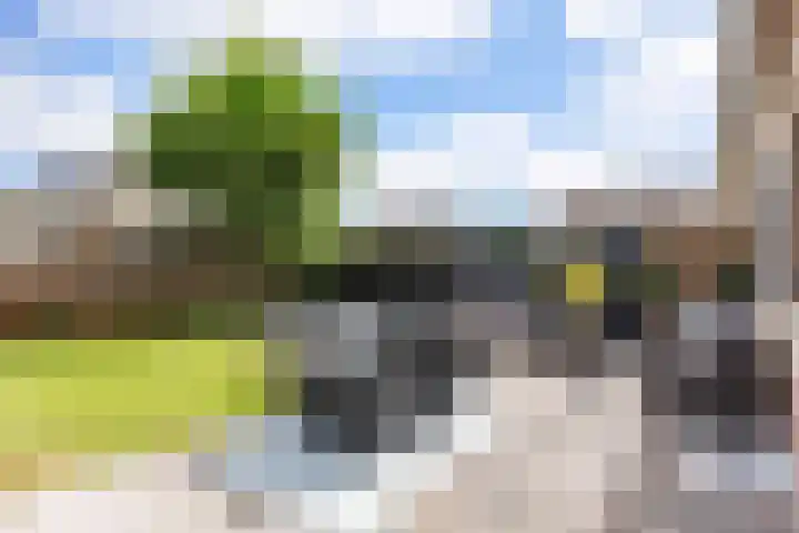 Julianalaan 18 Midlum thumbnail 5