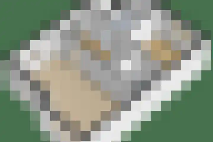 Julianalaan 18 Midlum thumbnail 52