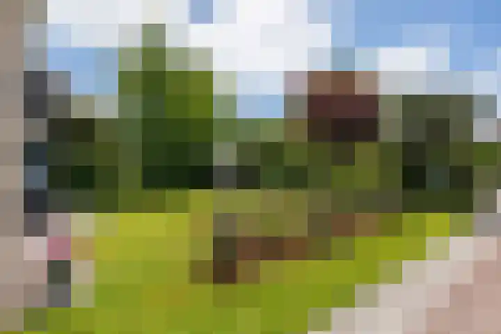 Julianalaan 18 Midlum thumbnail 9