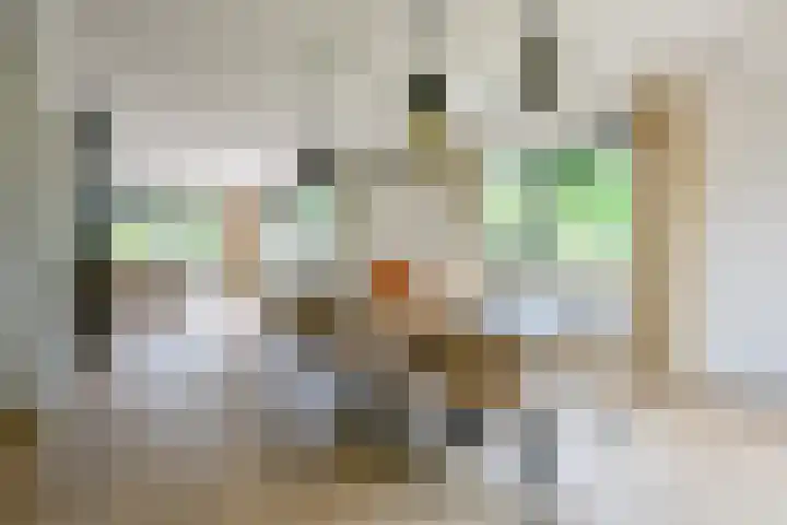 Julianalaan 18 Schagen thumbnail 11