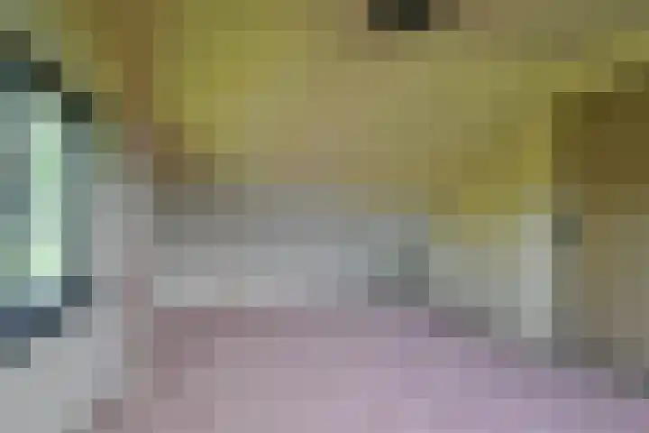 Julianalaan 18 Schagen thumbnail 21