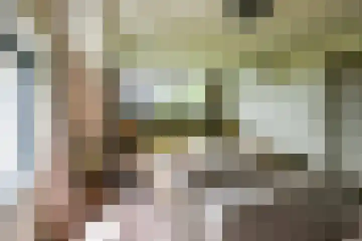 Julianalaan 18 Schagen thumbnail 23