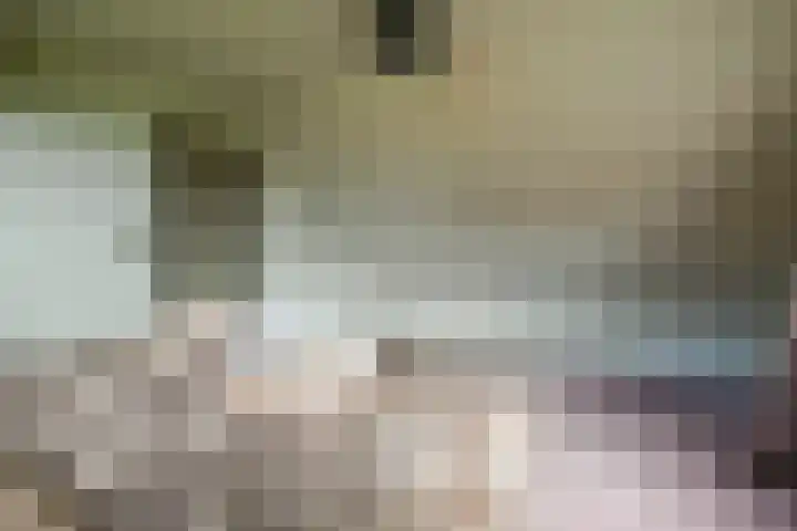 Julianalaan 18 Schagen thumbnail 24