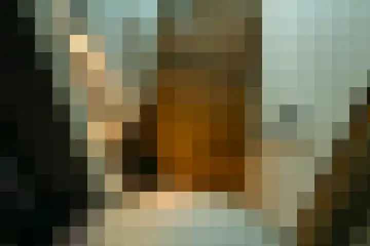 Julianalaan 18 Schagen thumbnail 26