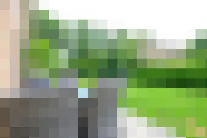 Julianalaan 18 Schagen thumbnail 28