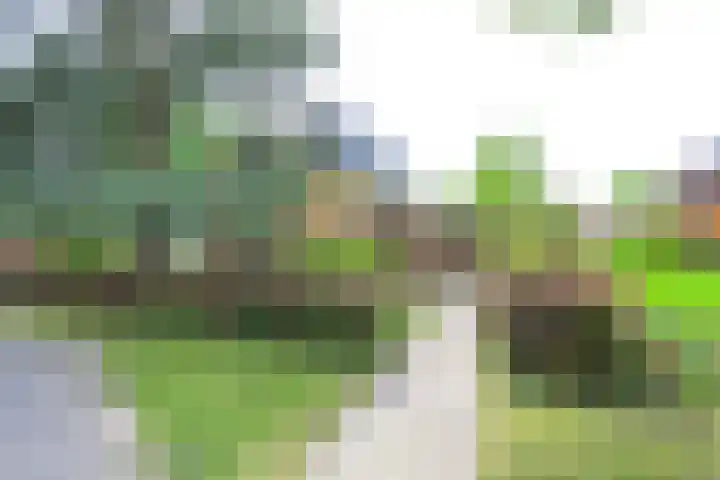 Julianalaan 18 Schagen thumbnail 30