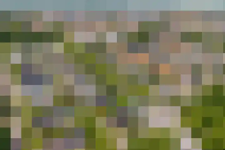 Julianalaan 18 Schagen thumbnail 31