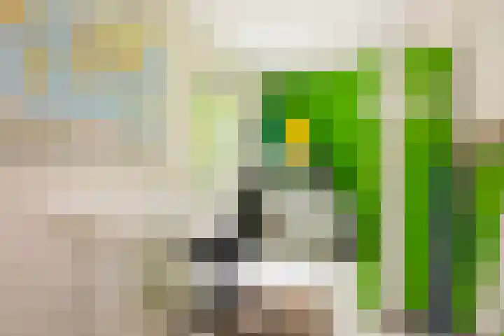 Julianalaan 182 Bilthoven thumbnail 22