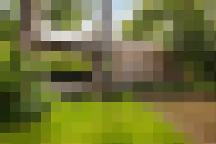 Julianalaan 182 Bilthoven thumbnail 40