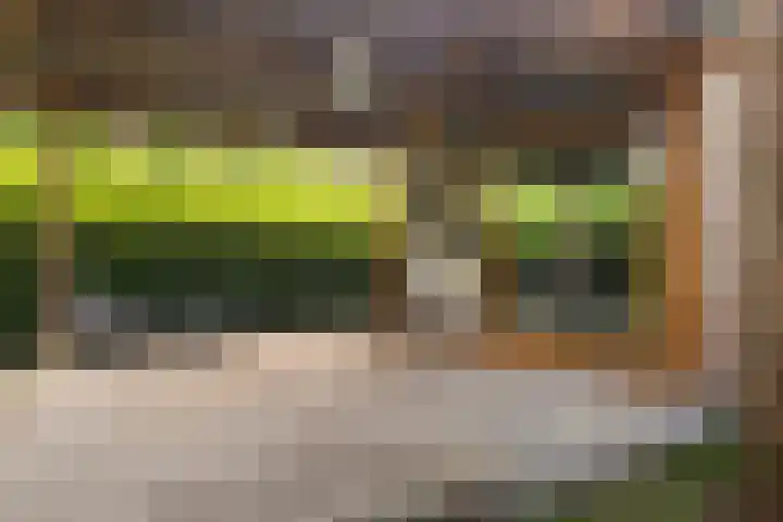 Julianalaan 182 Bilthoven thumbnail 41