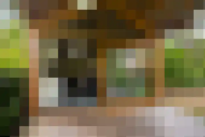 Julianalaan 182 Bilthoven thumbnail 42