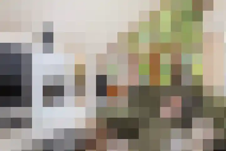 Julianalaan 182 Bilthoven thumbnail 5