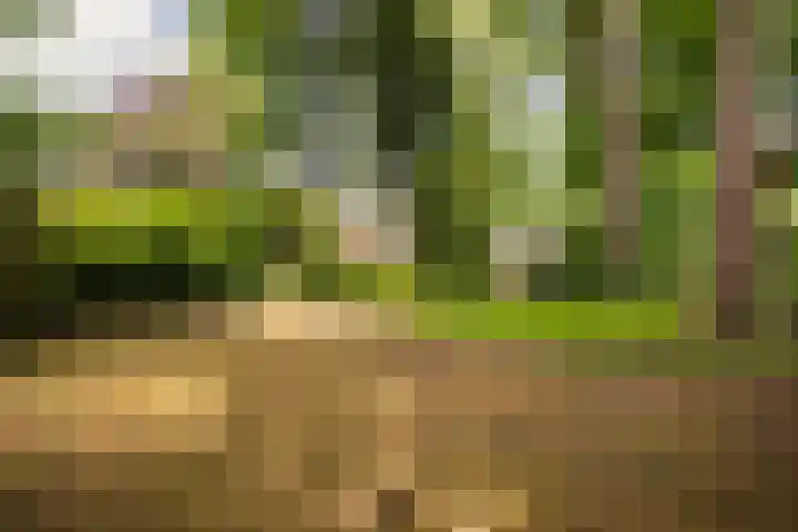 Julianalaan 182 Bilthoven thumbnail 50
