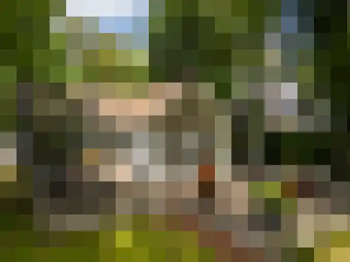 Julianalaan 182 Bilthoven thumbnail 51