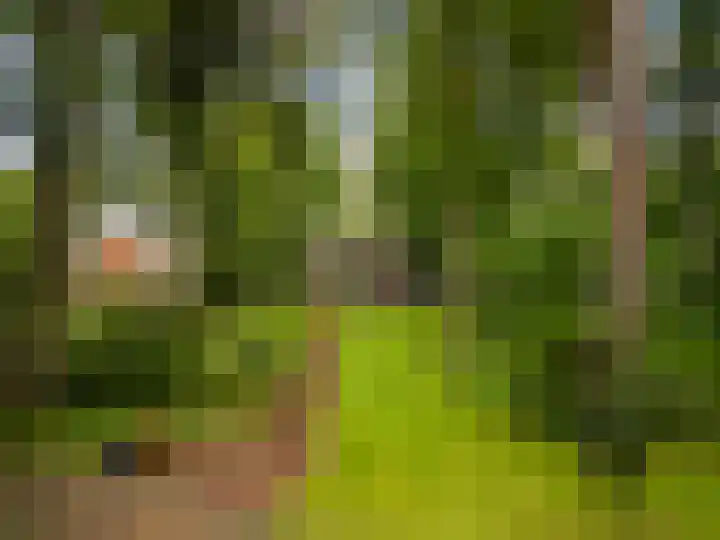 Julianalaan 182 Bilthoven thumbnail 54