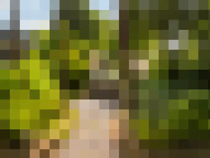 Julianalaan 182 Bilthoven thumbnail 57