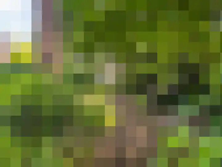 Julianalaan 182 Bilthoven thumbnail 59