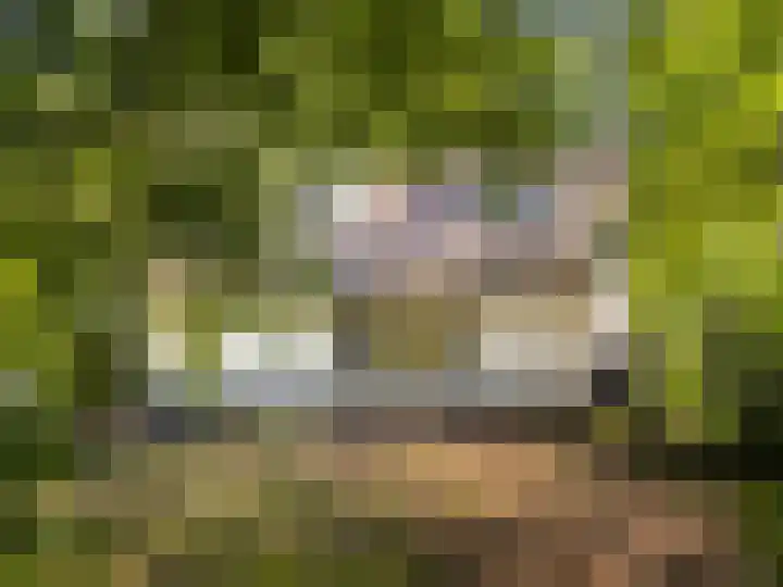 Julianalaan 182 Bilthoven thumbnail 60