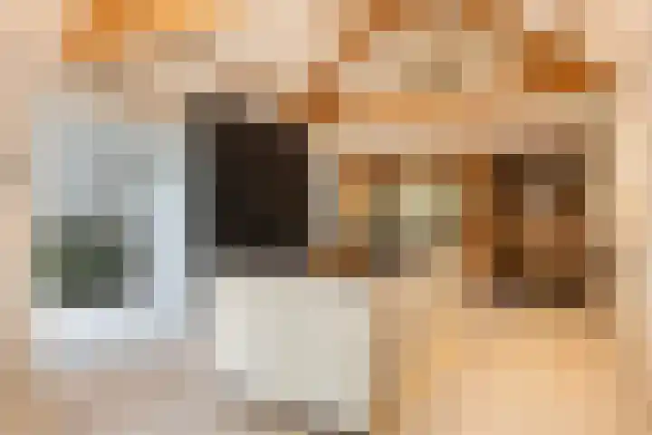 Julianalaan 182 Bilthoven thumbnail 9