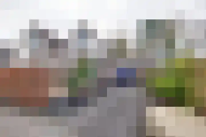 Julianalaan 19 in Bedum