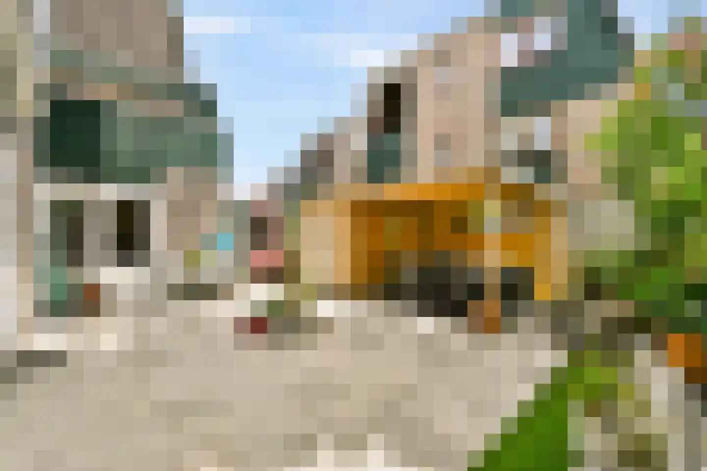 Julianalaan 19 Aalsmeer thumbnail 12