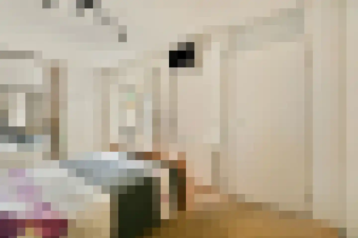 Julianalaan 19 Aalsmeer thumbnail 13