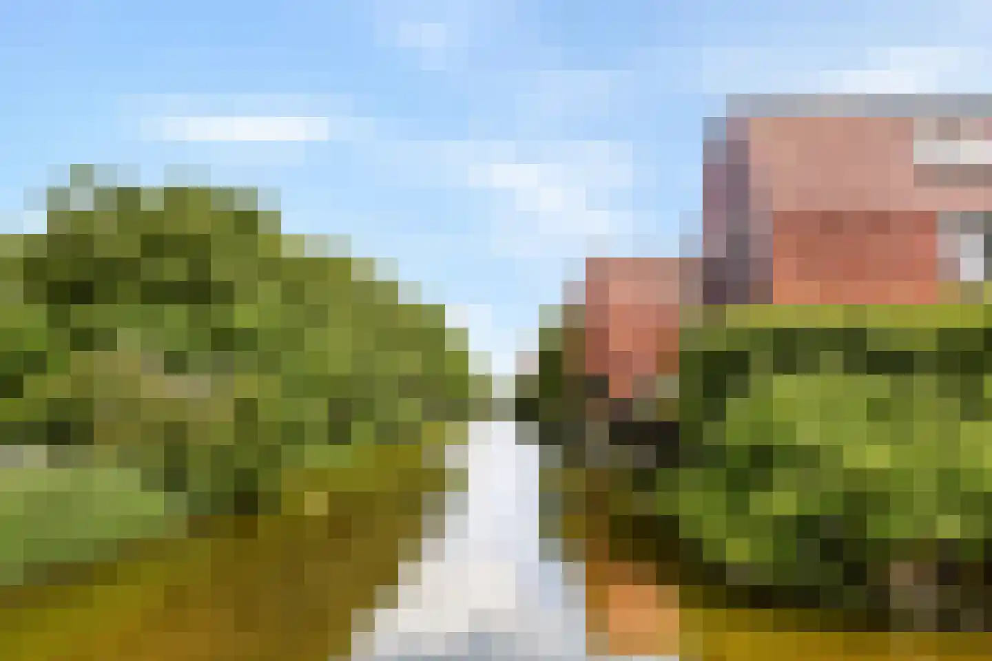 Julianalaan 19 Aalsmeer thumbnail 18