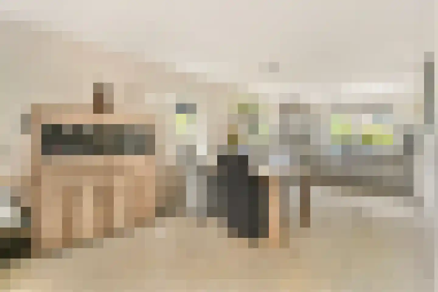 Julianalaan 19 Aalsmeer thumbnail 7