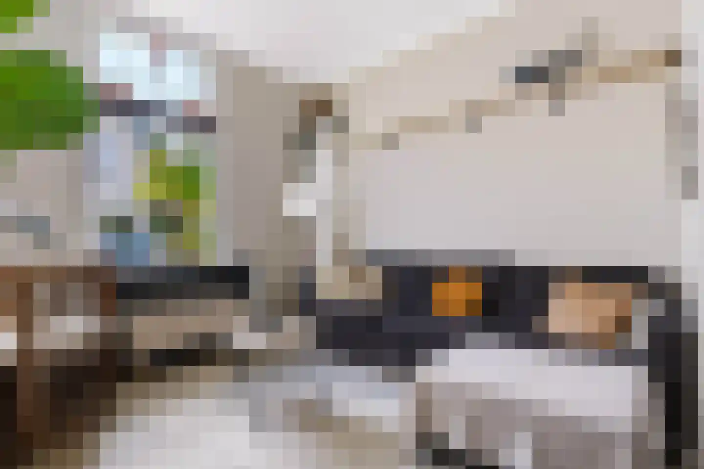 Julianalaan 19 Apeldoorn thumbnail 10