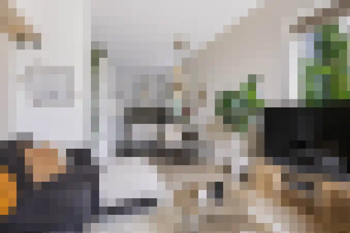 Julianalaan 19 Apeldoorn thumbnail 11