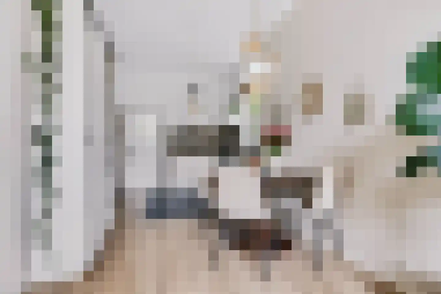 Julianalaan 19 Apeldoorn thumbnail 13