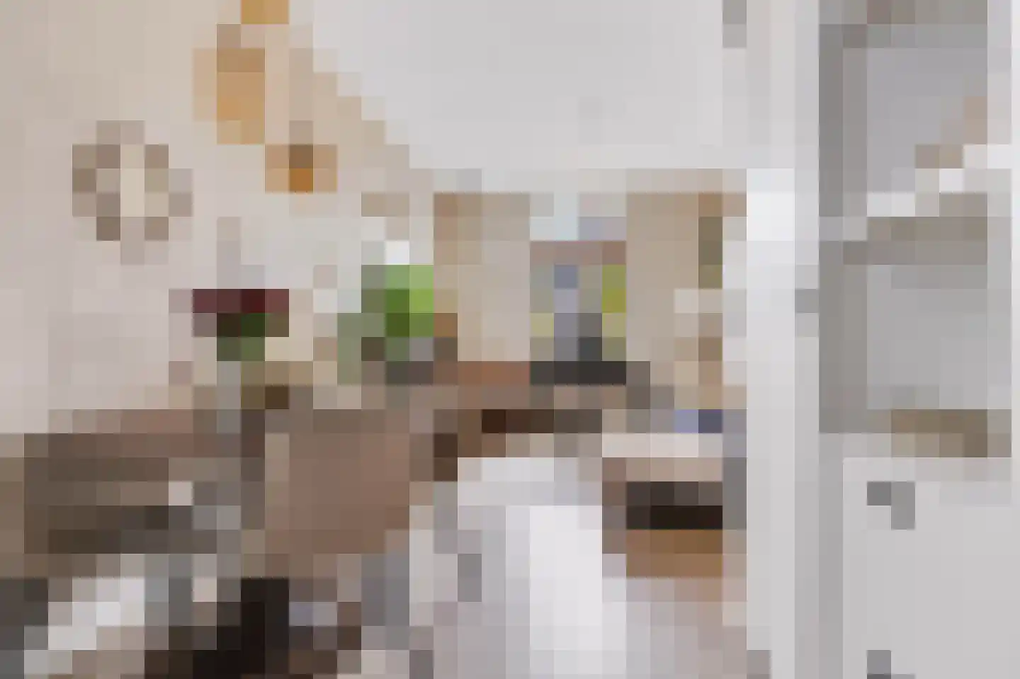 Julianalaan 19 Apeldoorn thumbnail 14