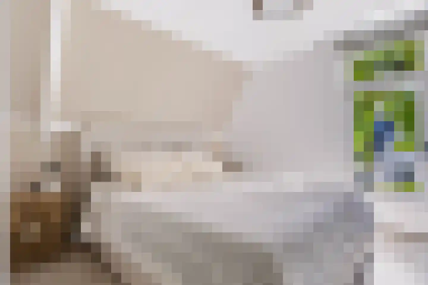 Julianalaan 19 Apeldoorn thumbnail 23