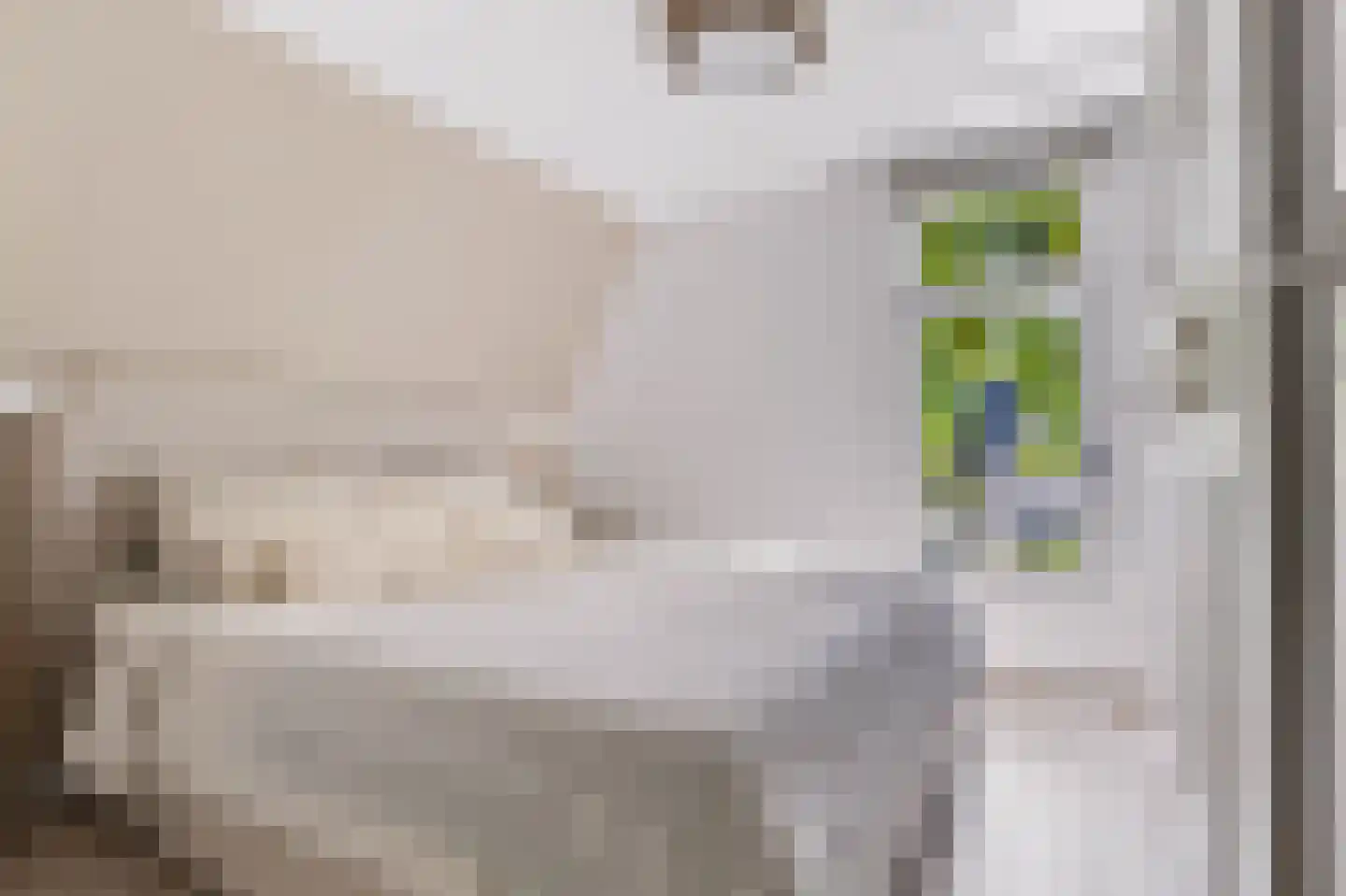 Julianalaan 19 Apeldoorn thumbnail 24