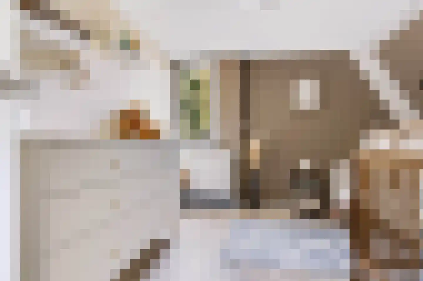 Julianalaan 19 Apeldoorn thumbnail 26