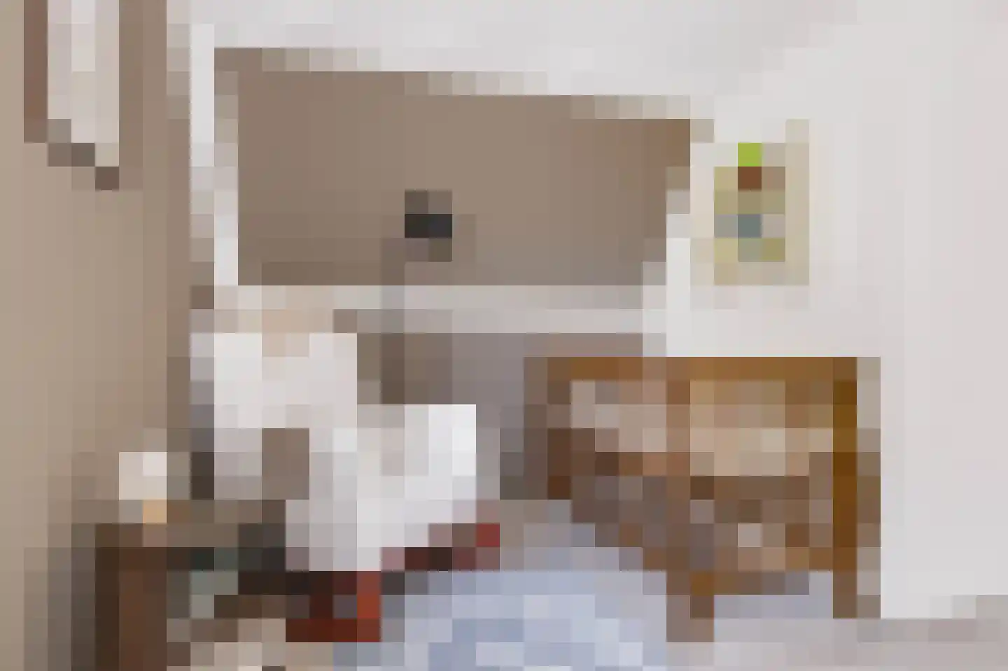 Julianalaan 19 Apeldoorn thumbnail 27