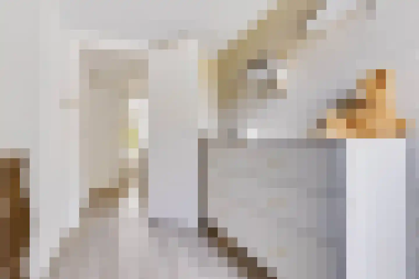 Julianalaan 19 Apeldoorn thumbnail 28