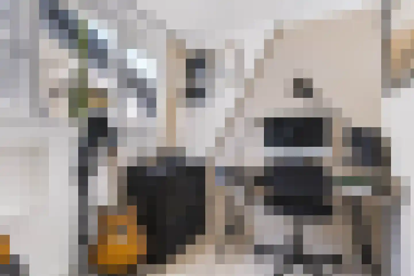 Julianalaan 19 Apeldoorn thumbnail 30