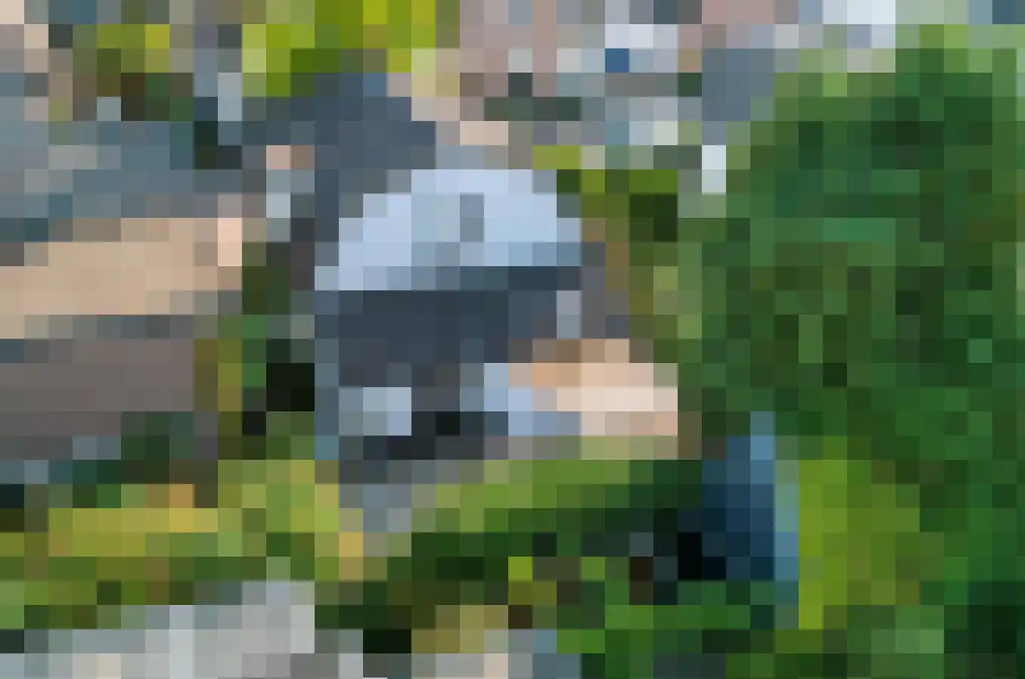 Julianalaan 19 Apeldoorn thumbnail 39