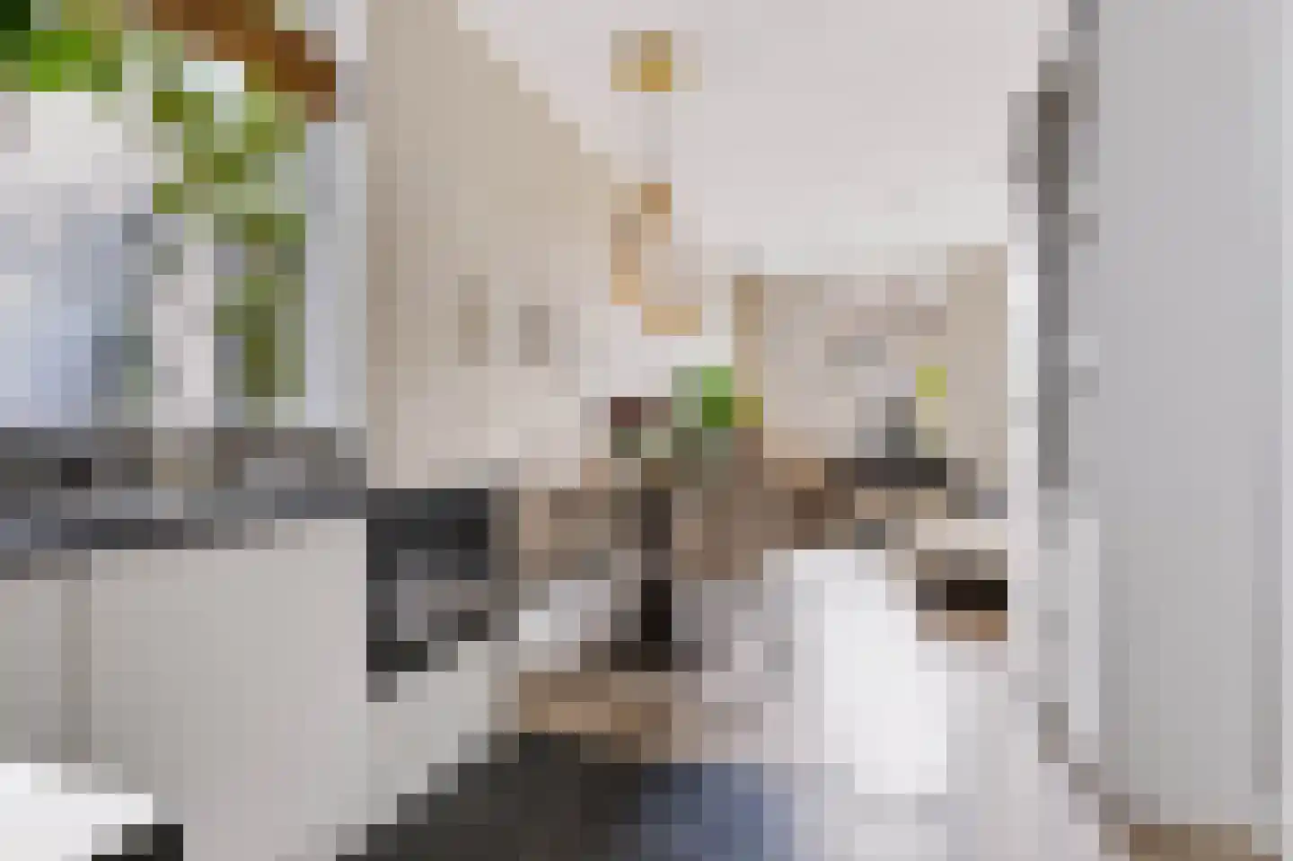 Julianalaan 19 Apeldoorn thumbnail 4