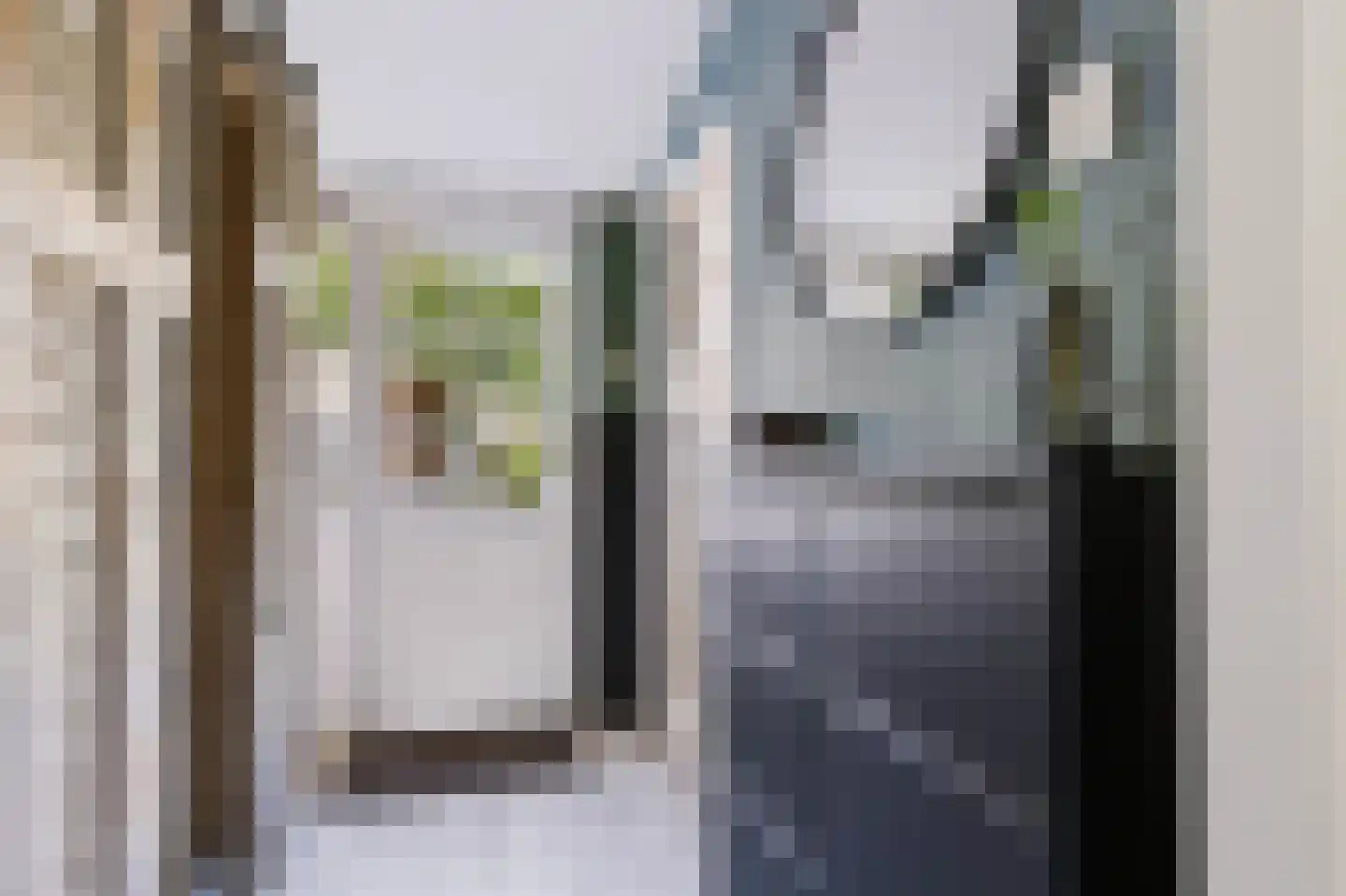 Julianalaan 19 Apeldoorn thumbnail 8
