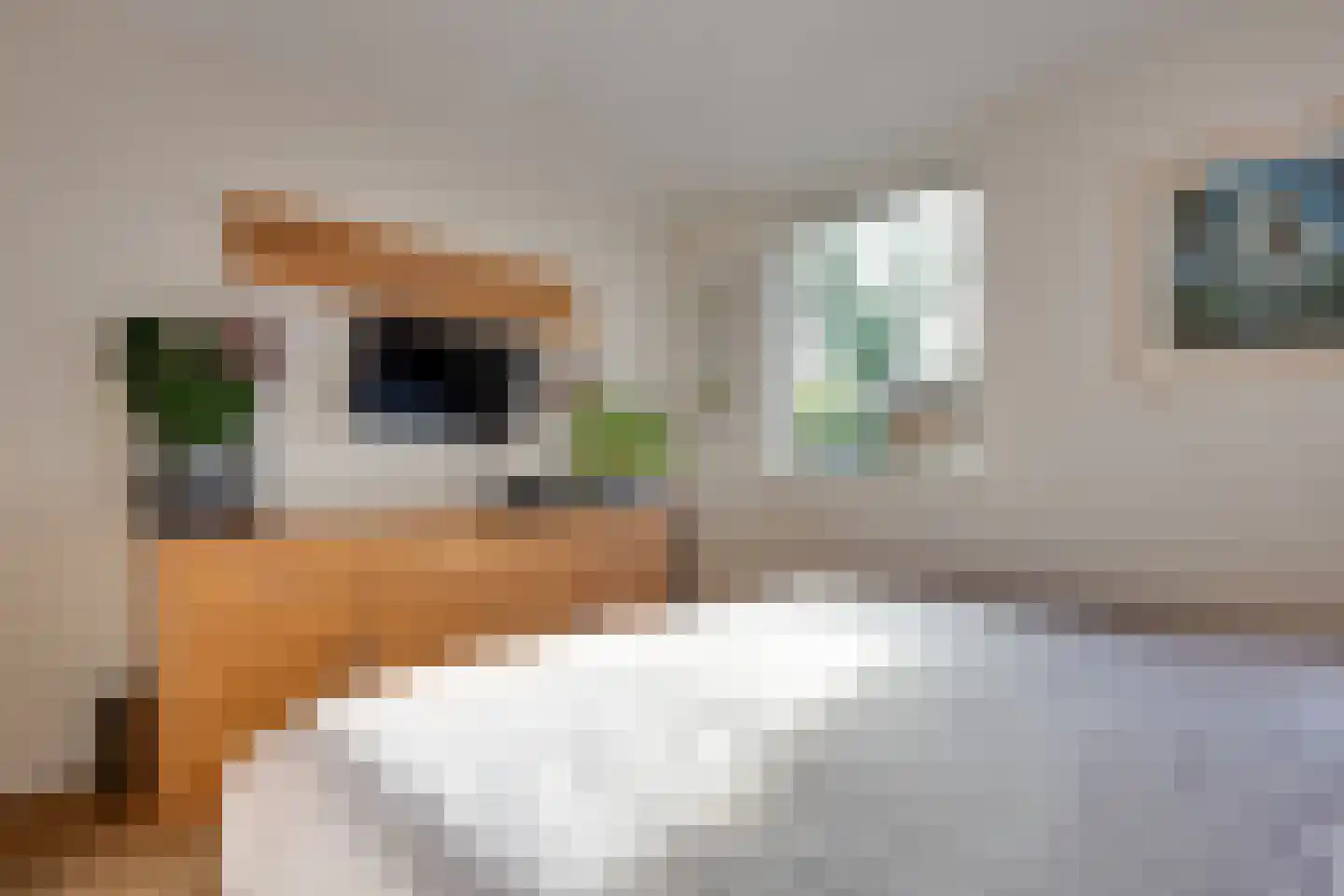 Julianalaan 19 Bedum thumbnail 21